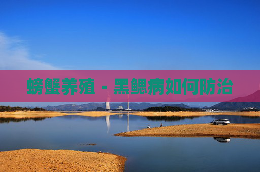 螃蟹养殖－黑鳃病如何防治