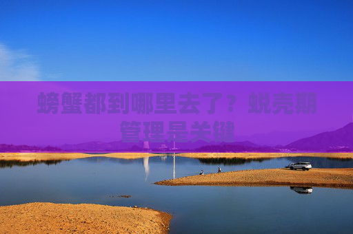 螃蟹都到哪里去了？蜕壳期管理是关键