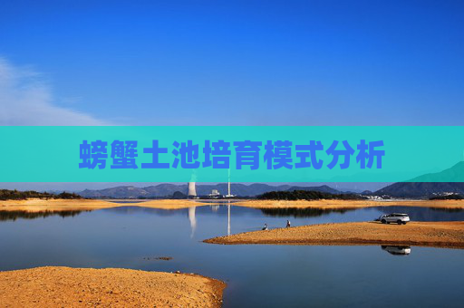 螃蟹土池培育模式分析
