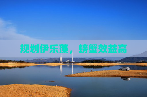 规划伊乐藻，螃蟹效益高
