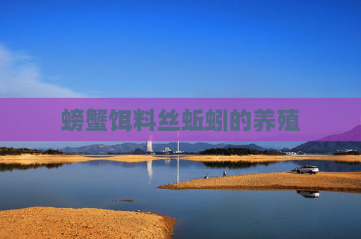 螃蟹饵料丝蚯蚓的养殖