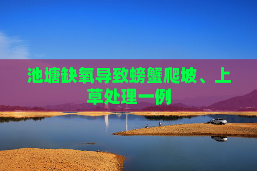 池塘缺氧导致螃蟹爬坡、上草处理一例