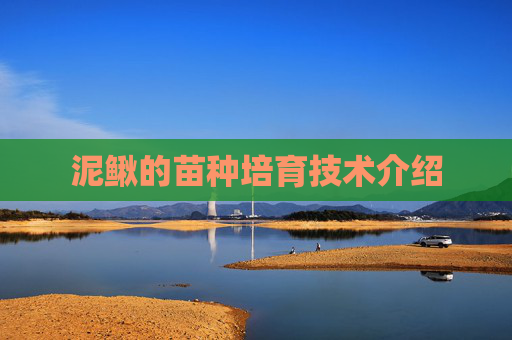 泥鳅的苗种培育技术介绍