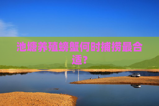 池塘养殖螃蟹何时捕捞最合适？