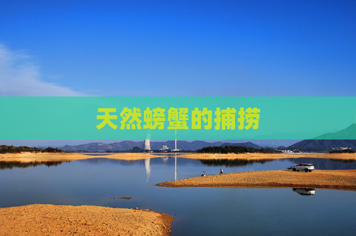 天然螃蟹的捕捞