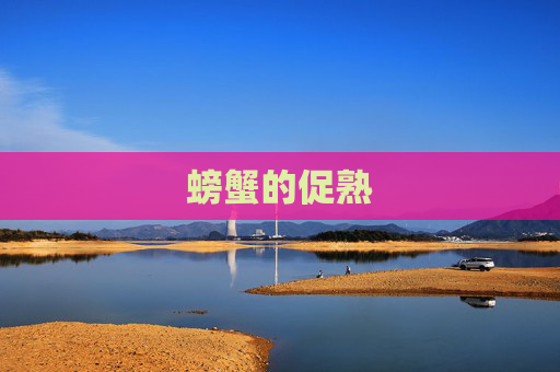 螃蟹的促熟