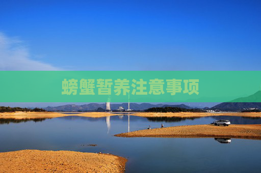 螃蟹暂养注意事项