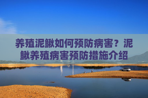 养殖泥鳅如何预防病害？泥鳅养殖病害预防措施介绍