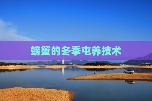 螃蟹的冬季屯养技术