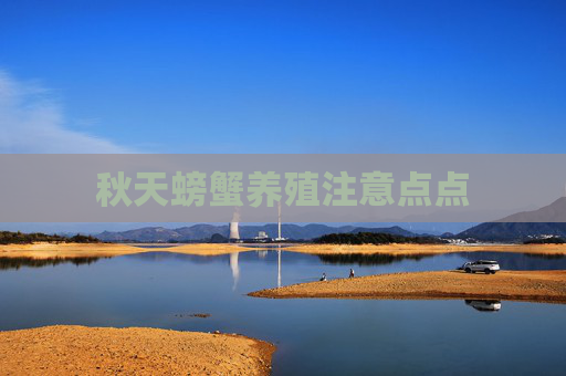 秋天螃蟹养殖注意点点