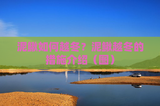 泥鳅如何越冬？泥鳅越冬的措施介绍（图）