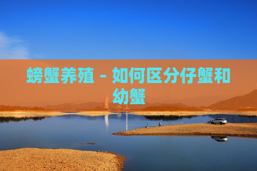 螃蟹养殖－如何区分仔蟹和幼蟹