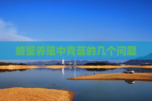螃蟹养殖中青苔的几个问题