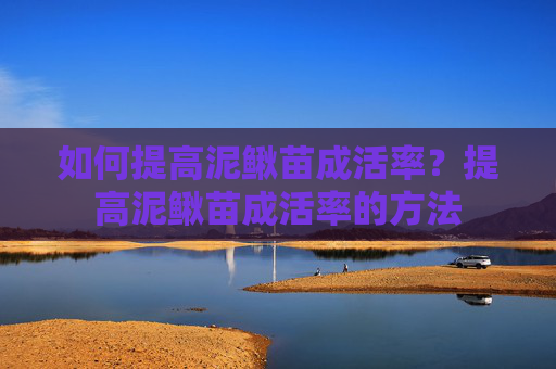 如何提高泥鳅苗成活率？提高泥鳅苗成活率的方法