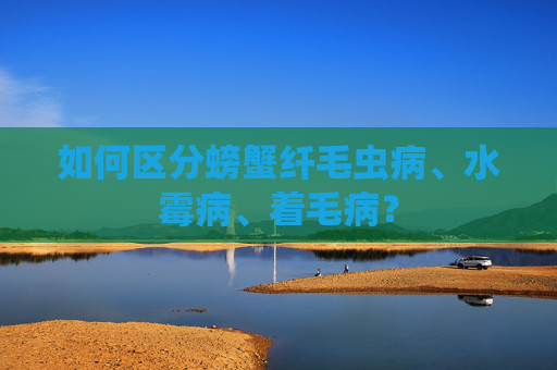 如何区分螃蟹纤毛虫病、水霉病、着毛病？