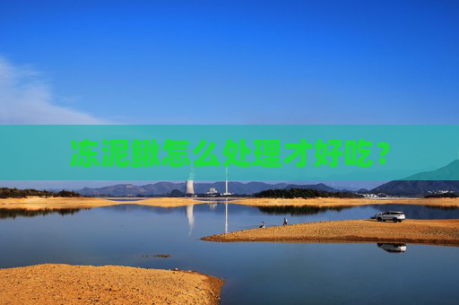 冻泥鳅怎么处理才好吃？