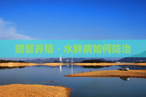 螃蟹养殖-水肿病如何防治 螃蟹养殖-水肿病如何防治