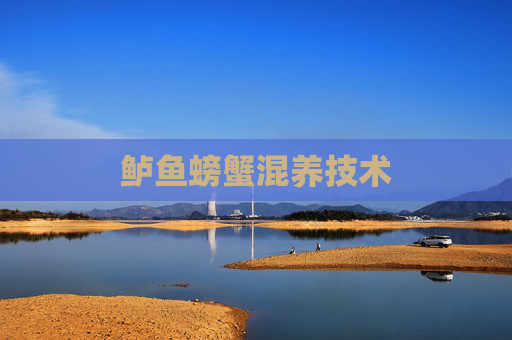 鲈鱼螃蟹混养技术
