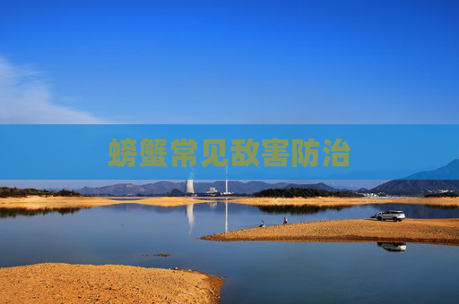 螃蟹常见敌害防治