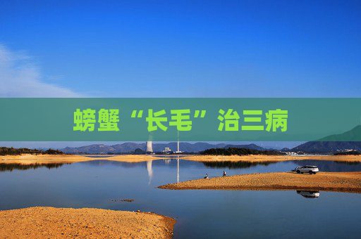 螃蟹“长毛”治三病