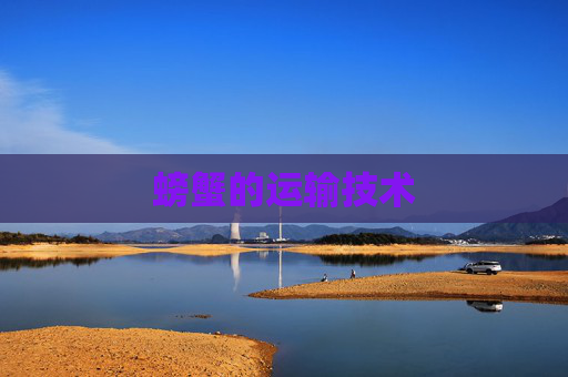 螃蟹的运输技术