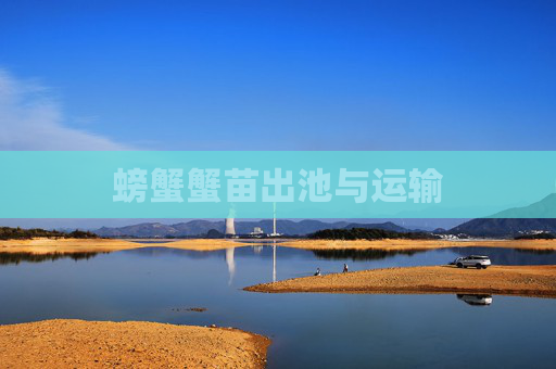 螃蟹蟹苗出池与运输