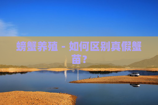螃蟹养殖－如何区别真假蟹苗？
