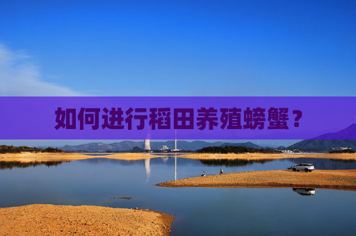 如何进行稻田养殖螃蟹？
