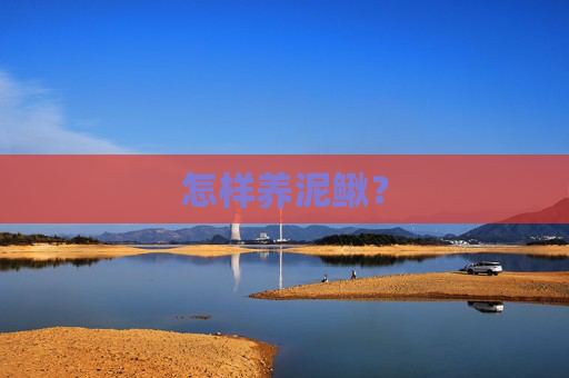 怎样养泥鳅？