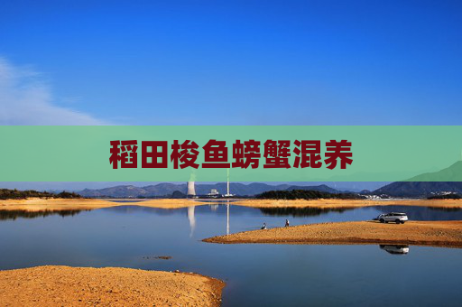 稻田梭鱼螃蟹混养