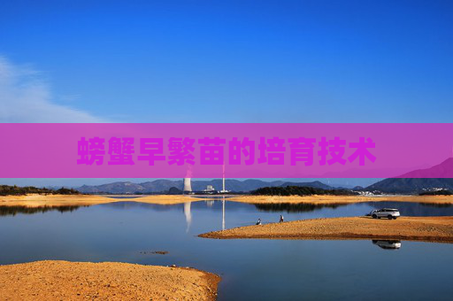 螃蟹早繁苗的培育技术