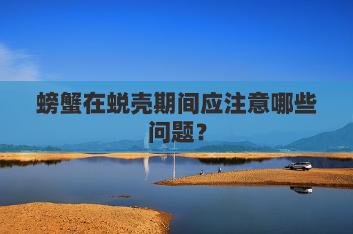 螃蟹在蜕壳期间应注意哪些问题？