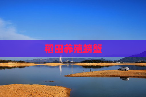 稻田养殖螃蟹