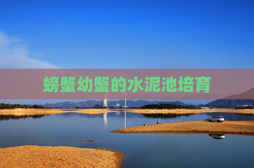 螃蟹幼蟹的水泥池培育