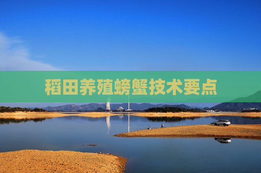 稻田养殖螃蟹技术要点