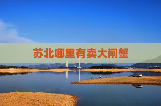 苏北哪里有卖大闸蟹