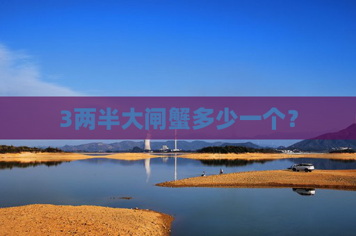 3两半大闸蟹多少一个？