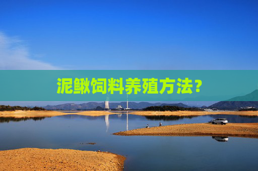 泥鳅饲料养殖方法？