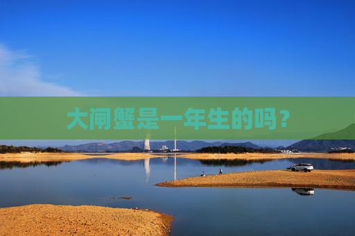 大闸蟹是一年生的吗？