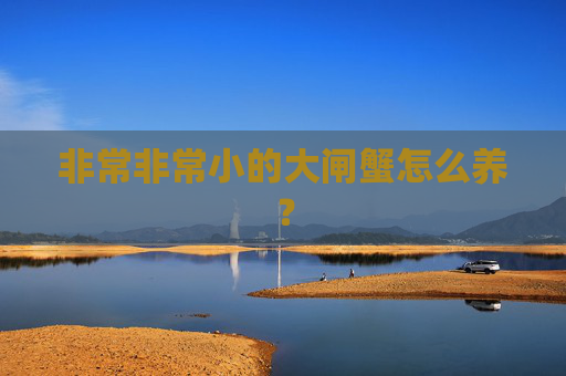 非常非常小的大闸蟹怎么养?