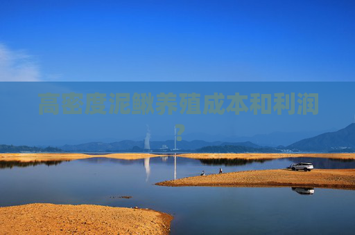 高密度泥鳅养殖成本和利润？