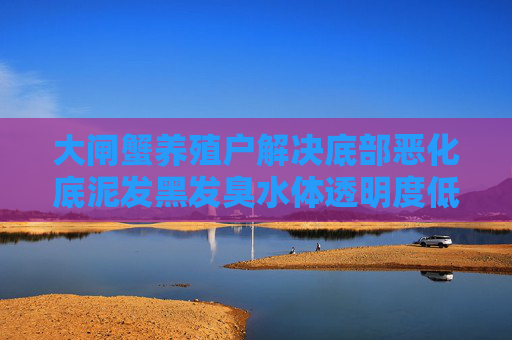 大闸蟹养殖户解决底部恶化底泥发黑发臭水体透明度低的方法