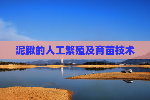 泥鳅的人工繁殖及育苗技术