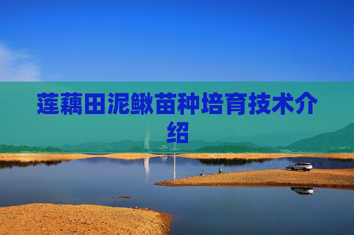 莲藕田泥鳅苗种培育技术介绍