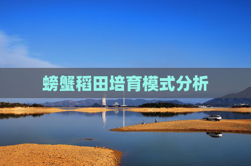 螃蟹稻田培育模式分析