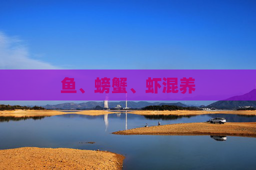 鱼、螃蟹、虾混养