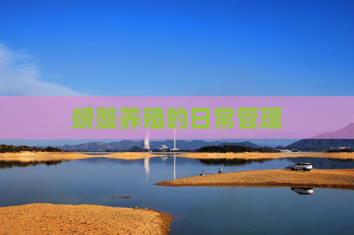 螃蟹养殖的日常管理