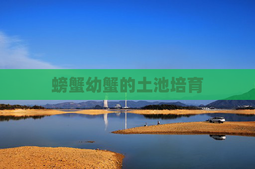 螃蟹幼蟹的土池培育