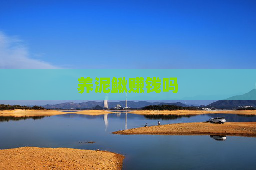 养泥鳅赚钱吗
