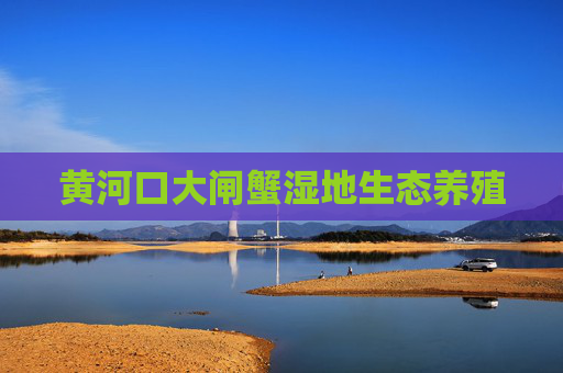 黄河口大闸蟹湿地生态养殖